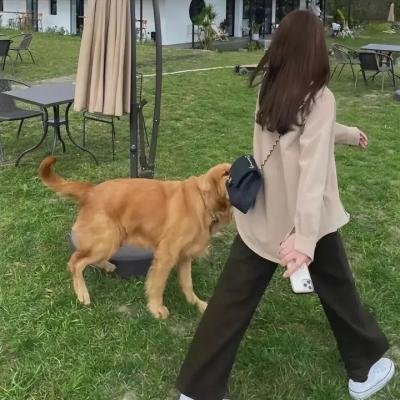 律界巨人第四季